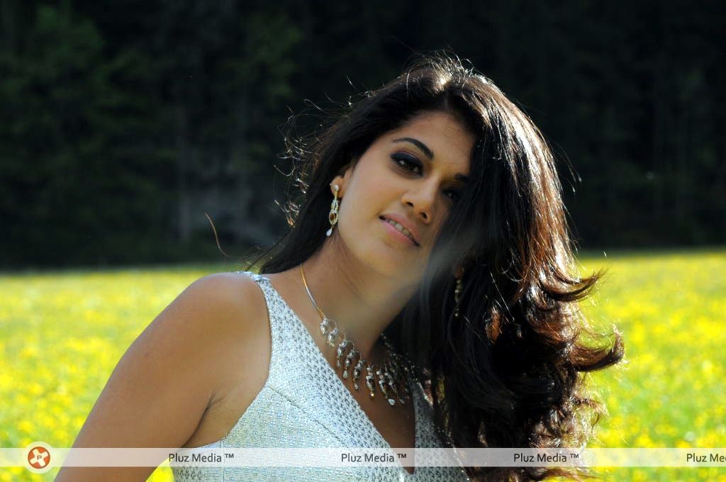 Tapsee Pannu Latest Stills | Picture 115849